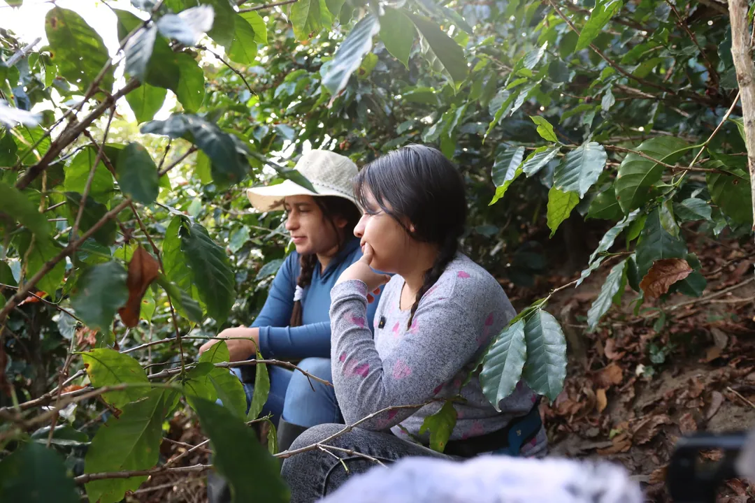 Participantes durante una actividad en un cafetal